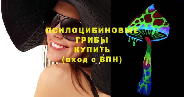 стафф Богородицк