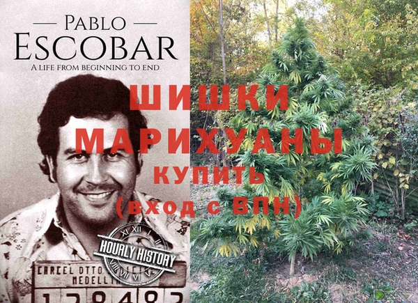 ECSTASY Бронницы