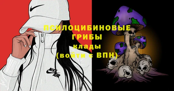 гашиш Бородино