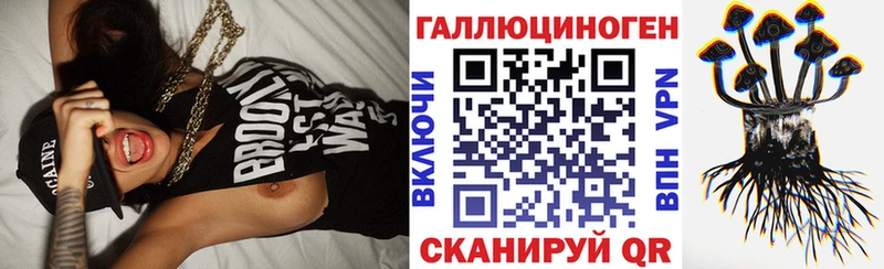 где можно купить наркотик  Судак  Псилоцибиновые грибы ЛСД 